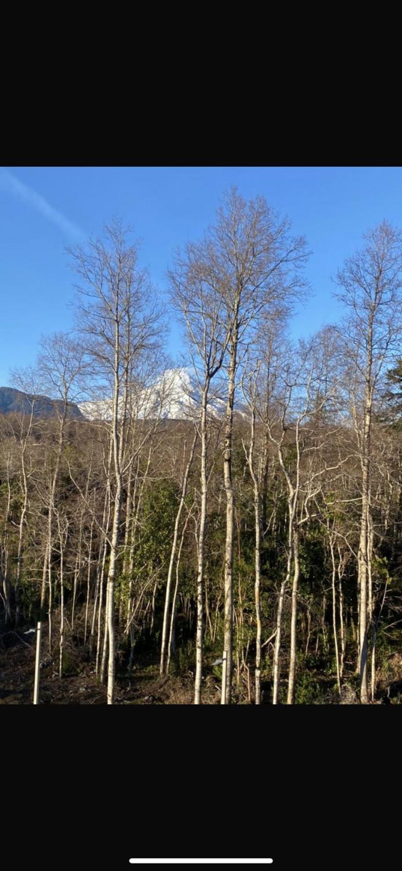 Apartamento Parque Payllahue Full Equipado Con Vista Al Volcan